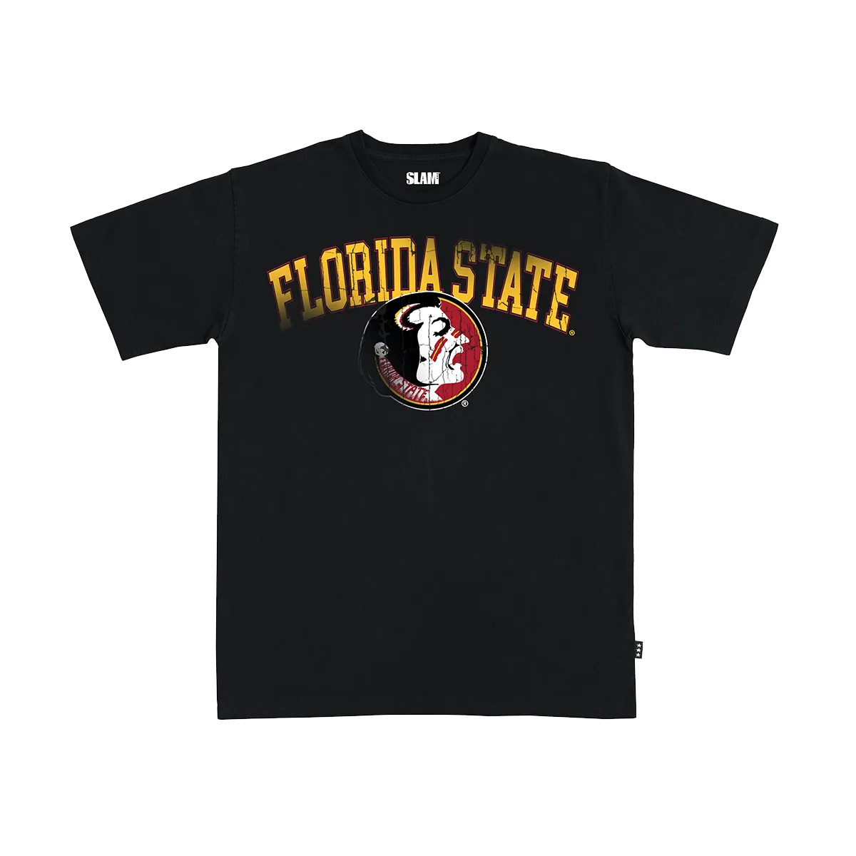 Florida State Big Logo Heavy Tee