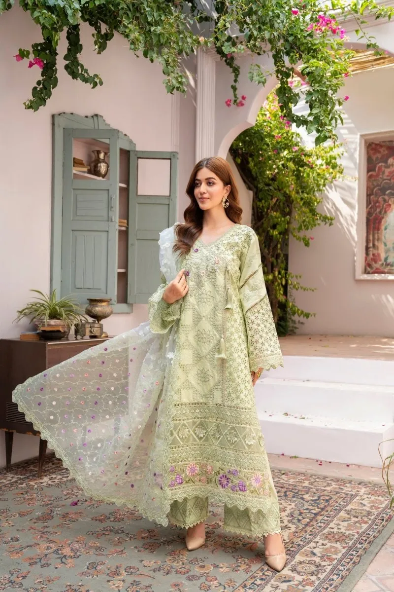 Festive Embroidered Cotton Pakistani Suit - Karma KAR95