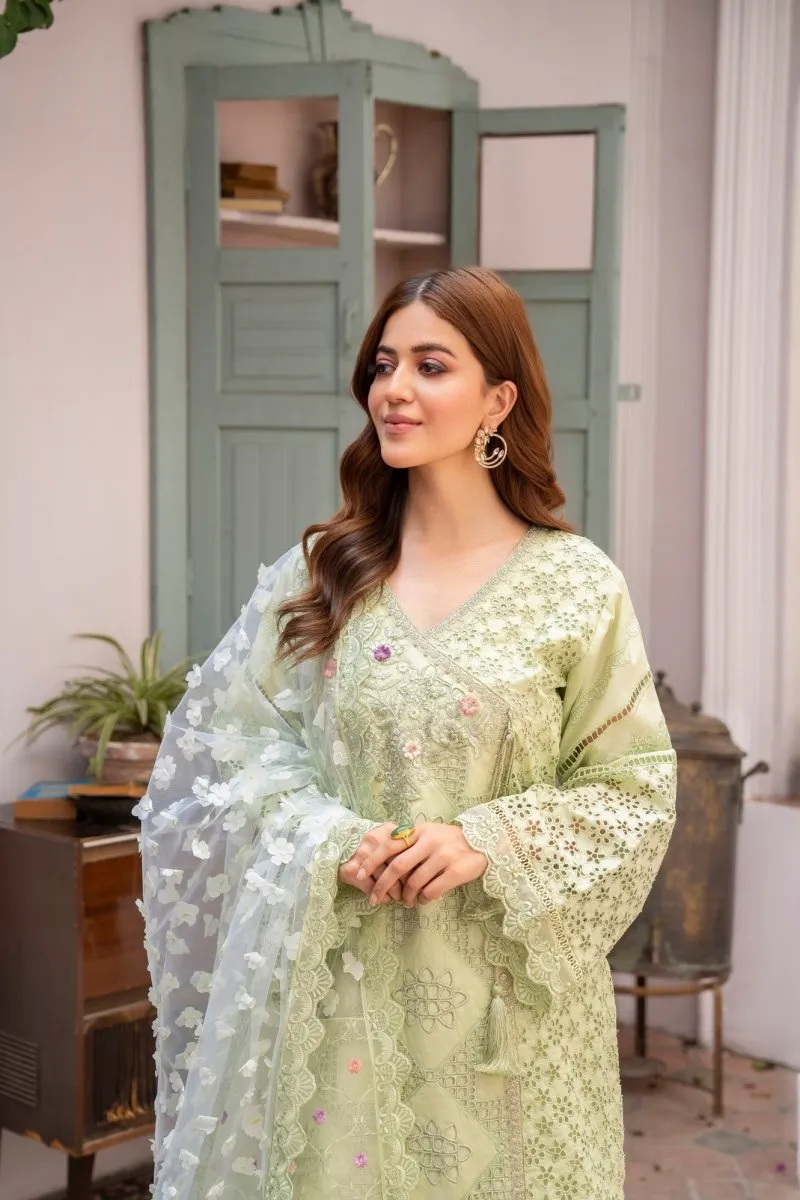 Festive Embroidered Cotton Pakistani Suit - Karma KAR95